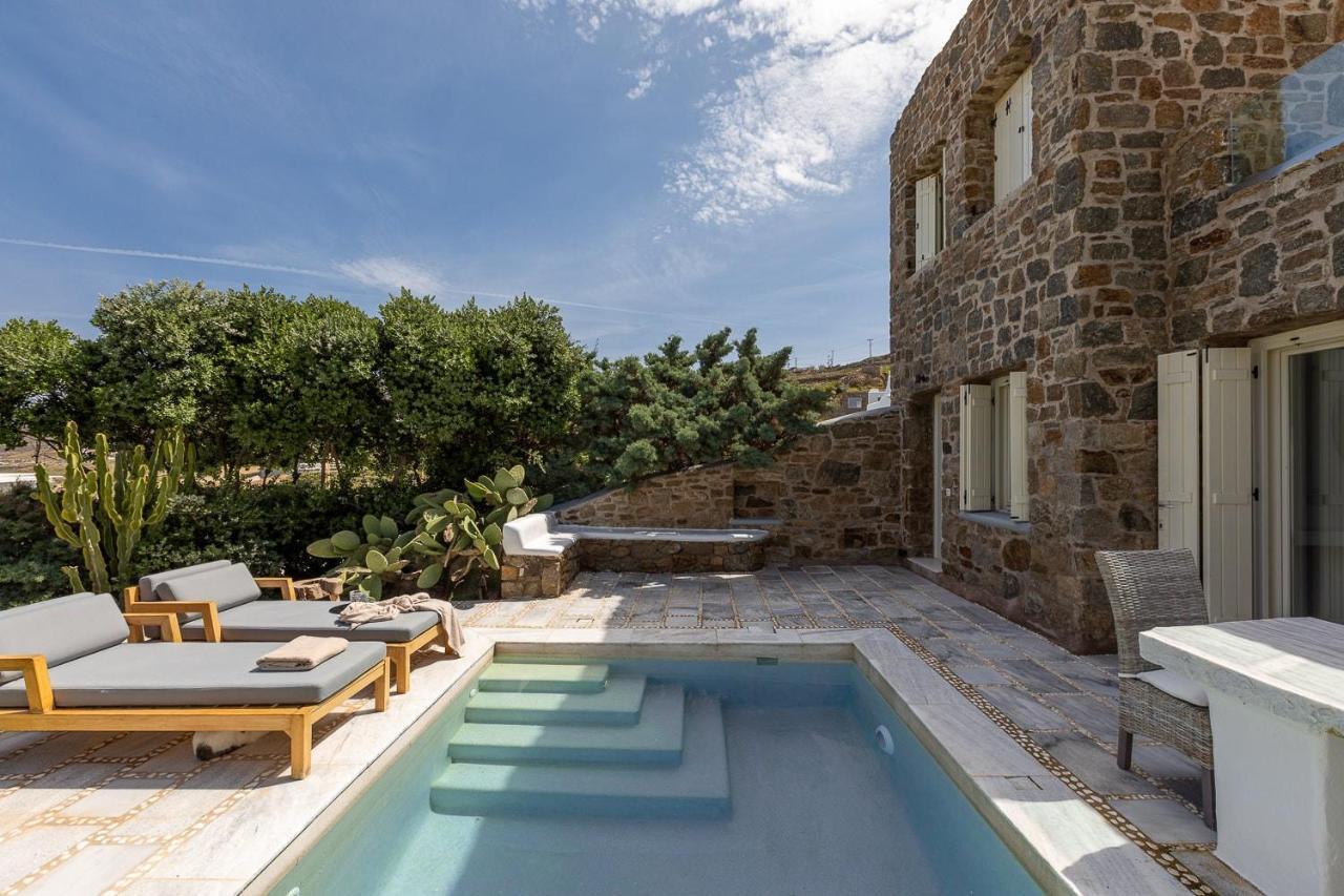 Mykonos Dream Villas Ftelia  Zewnętrze zdjęcie