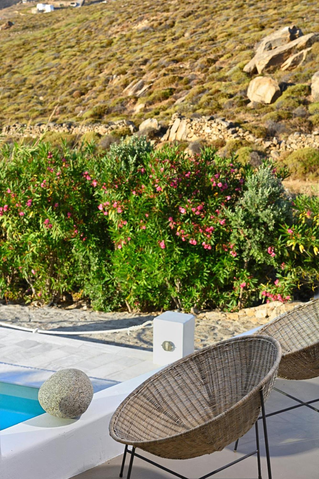 Mykonos Dream Villas Ftelia  Zewnętrze zdjęcie